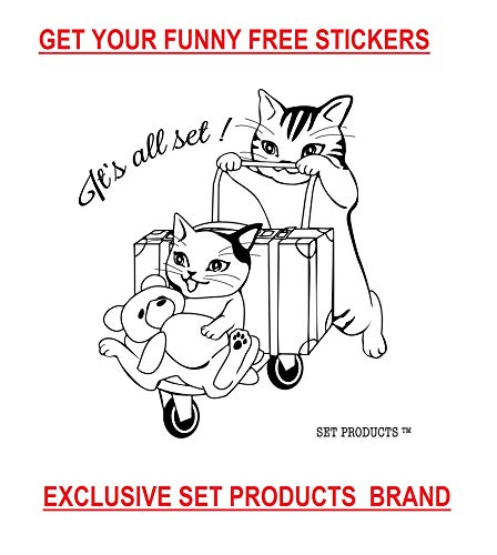 [ FUERZA Y ENERGIA | 2 CAJAS ] Ginseng con Jalea Real | Ginseng & Royal Jelly | Suplemento eficaz para la fuerza y energía del día a día y durante períodos de frío y fatiga | 20 viales de 10 ml