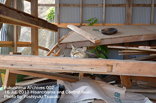 Fukushima Archives 002 16 Jul 2011 Hisanohama and Central Iwaki (Japanese Edition)