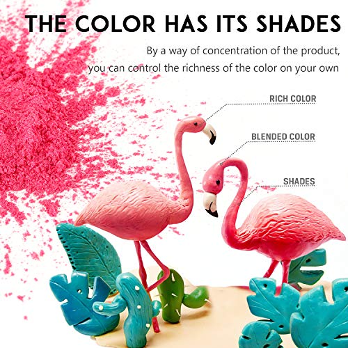 Funxim Pigmentos en Polvo 24pcs × 10g con Cuchara, Pigmentos para Resina Epoxi, Natural Mica Tintes para DIY Slime, Jabon, Pintauñas, Sombra de Ojos, Cera