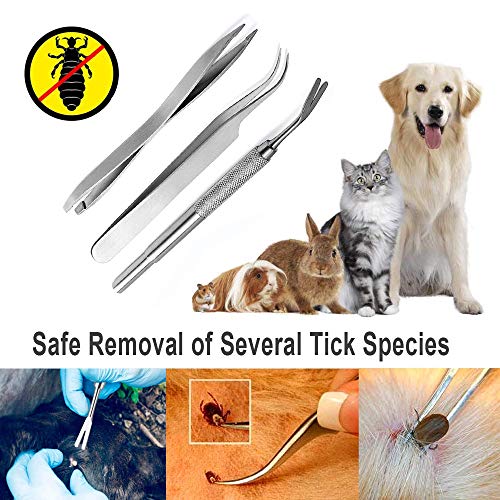 Garrapatas Herramienta,Pinzas para garrapatas, para perros, gatos, personas en juego de 4 Premium para remover de Tickremover + caja de almacenamiento