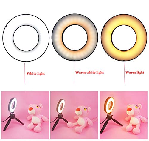 GASAMTINA Mini Kit de luz de Anillo LED Regulable con Espejo de 6 Pulgadas, Clip para teléfono, Enchufe USB Blog de Belleza Maquillaje Autorretrato Fotografía fotográfica (sin Bolsa de Transporte)