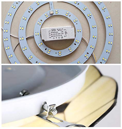 GDLight Lámparas de Techo LED Tiffany Style para dormitorios, Luces de Techo mediterráneas de Montaje Empotrado Accesorio de iluminación de Pasillo de vidrieras Vintage de orquídeas,Cool Light,50cm
