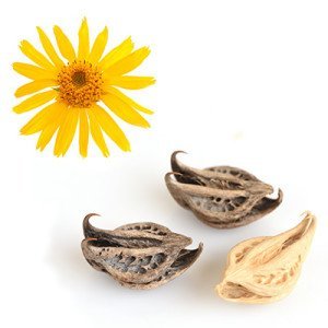 Gel de Árnica Montana 90% Acción Rápida Gel Deporte Gel Calmante Reparador (200 ml)