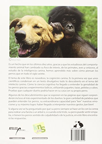 Genios: Los perros son más inteligentes de lo que pensamos