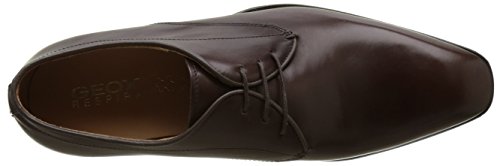 Geox U New Life A, Zapatos de Cordones Derby para Hombre, Marrón (Ebony), 44 EU