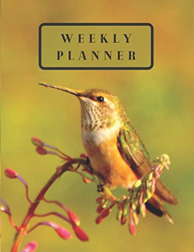 Golden Green and Orange Hummingbird on a Fire Pink Flower 1 year Undated Weekly Calendar Planner: Cute Large Sized Goals, To-Do Lists, Tasks, Notes, ... Undated Organizer Weekly Calendar Planner)