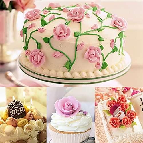 Gosear 5 Piezas Decoración Flor Uñas para Torta Cupcake Guinda Crema/Herramientas del Clavo de Aguja,Acero Inoxidable