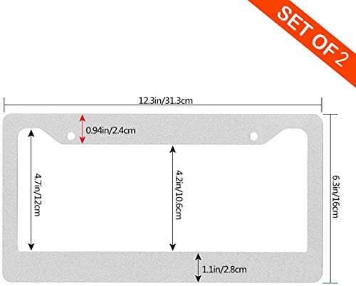 GTGTH Amy Grant Newest Thick Aluminum Alloy Polish Mirror License Plate Frames, Car Licence Plate Holder Covers for US Standard (2 Pcs 2 Holes Wide Silver)
