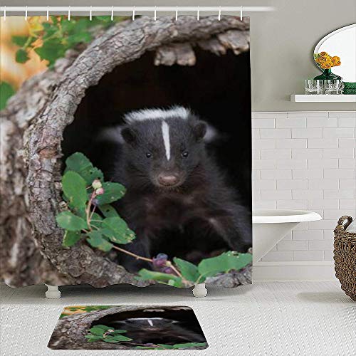 GugeABC Juego de Cortinas y tapetes de Ducha de Tela,Mofeta Mirando Desde tocón de árbol,Cortinas de baño repelentes al Agua con 12 Ganchos, alfombras Antideslizantes