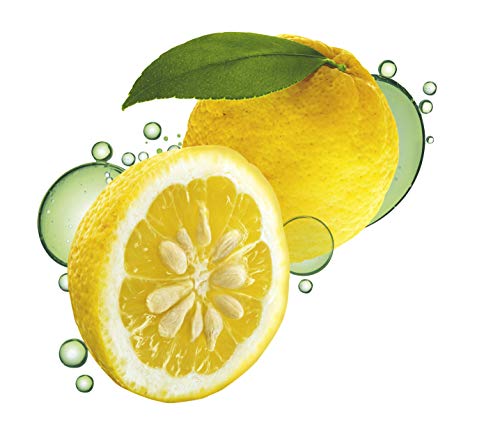 Guhl Frescor y ligereza - Champú antigrasa con Yuzu-Zitrus - Para cabellos grasos normales hasta rápidos, 250 ml