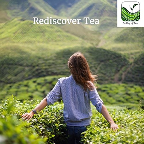 Gunpowder Té Verde - Este Té Es Famoso Por Su Sabor Suave Y Complejo, Con Unos Tintes Ahumados Que Le Han Hecho Ganarse Un Puesto Entre Los Más Codiciados. Zhu Cha 100g