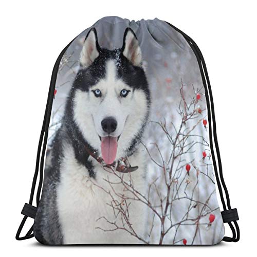 Hangdachang Perro Husky con Ojos Azules en Invierno Mochila con cordón Bolsa de Viaje Impermeable para Yoga 36 x 43 cm / 14,2 x 16,9 Pulgadas