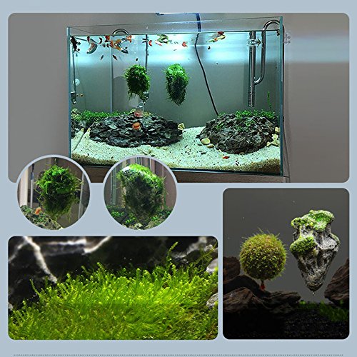Haodou Acuario Flotante Roca Suspendido Piedra Pómez Flotante Artificial Decoración Flying Rock Ornamento Decoración del Acuario Size 5.8 * 9.2 cm