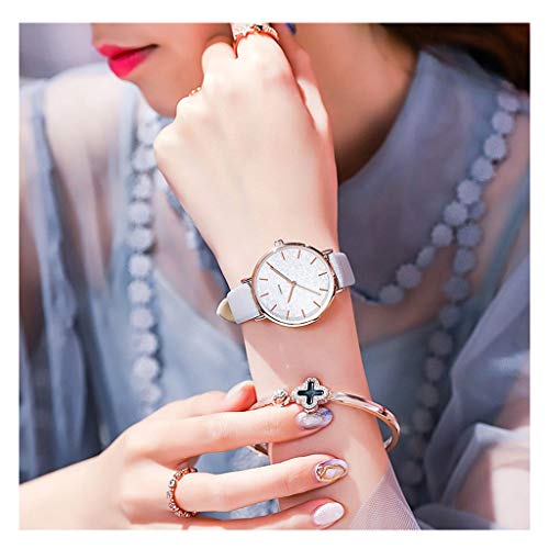 Hasayo Análogo de Cuarzo del Reloj Vestido de Las Muchachas del Reloj for Mujer Relojes Mujer Moda Mujer Movimiento de Mujeres Correa de Acero-Macarons (Color : B)