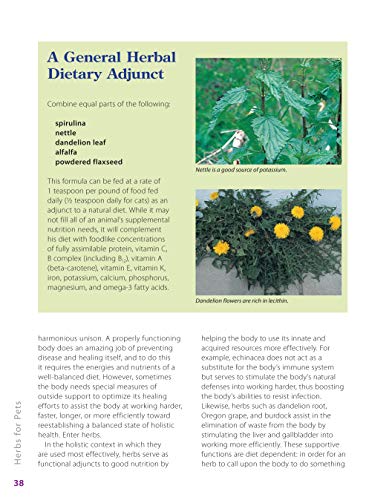 Herbs for Pets: The Natural Way to Enhance Your Pet's Life