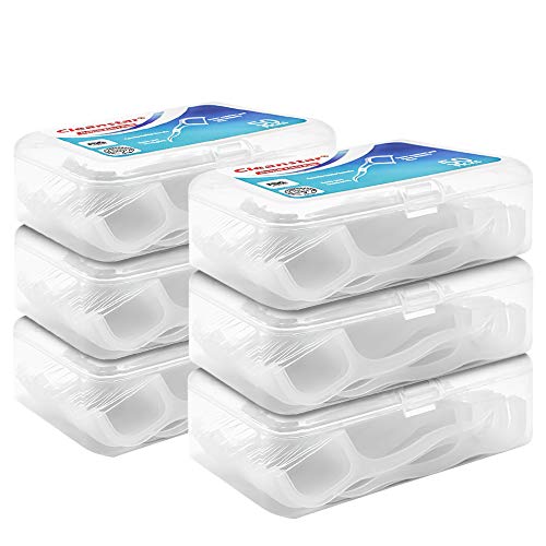 Hilo dental 300 Piezas Dental Palo Dental Floss para Interdental Oral Limpieza paquete de 6