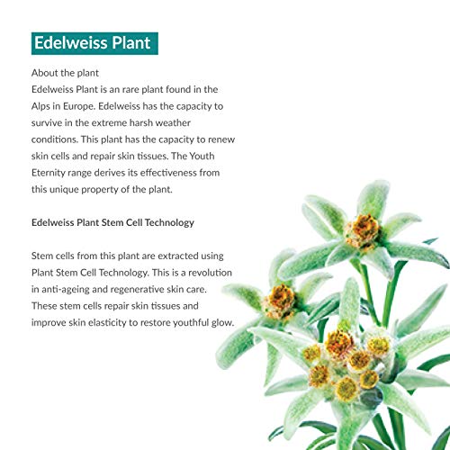 Himalaya Crema Noche Youth Eternity Himalaya 1 Unidad 250 g