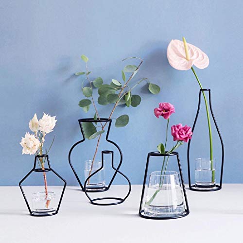 HUANGMENG Hierro Negro florero del Titular de la Central del Marco, Decoración Interior Cafe, Tamaño: 15cm x 20cm y Jardín (Color : Color8)