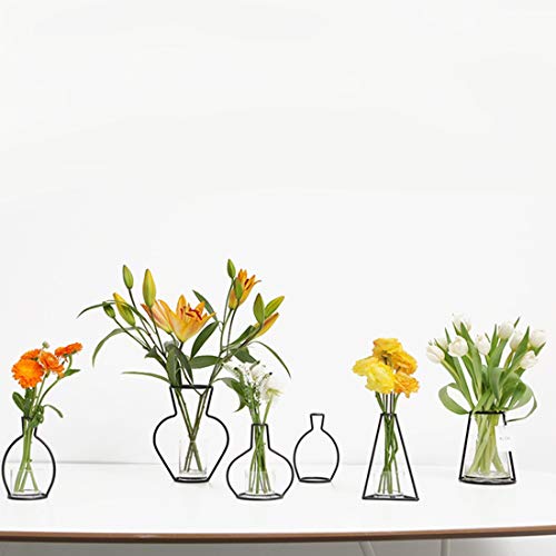 HUANGMENG Hierro Negro florero del Titular de la Central del Marco, Decoración Interior Cafe, Tamaño: 15cm x 20cm y Jardín (Color : Color8)