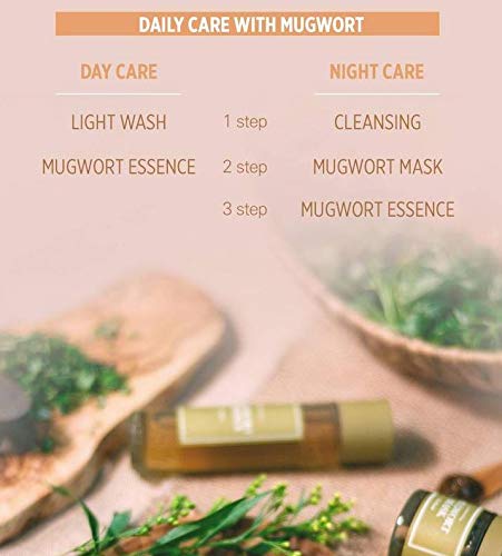 I'm From - Mugwort - Mascarilla de artemisa, 110 g, K-Beauty