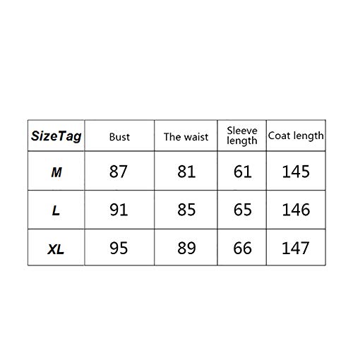 Iraza Disfraces Encaje de Halloween Mujer Fantasma del Bruja XL (2XL)