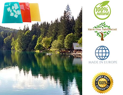 Jabón Natural Artesanal. Lote de 3 con Jabón de Algas, Jabón de Aceite de Rosas y Jabón de Extracto de Caracol. Para Manos, Pies, Cabello y Cuerpo. Antibacteriano y Antifúngico, 3x100 gr.