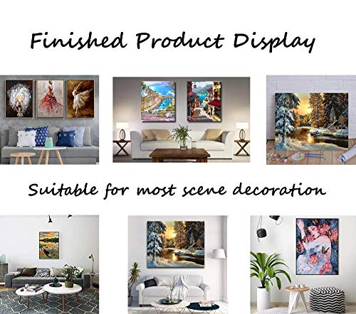 Jkykpp Kit de pintura Paint by Numbers Allure para adultos y niños16X20 pulgadas (40X50 cm)