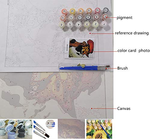Jkykpp Kit de pintura Paint by Numbers Allure para adultos y niños16X20 pulgadas (40X50 cm)