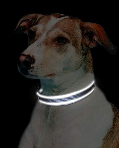 Joytale Collar Perro Reflectante,Nylon Collar Acolchado con Neopreno,Ajustable para Perros Mediano,35-50cm,Gris