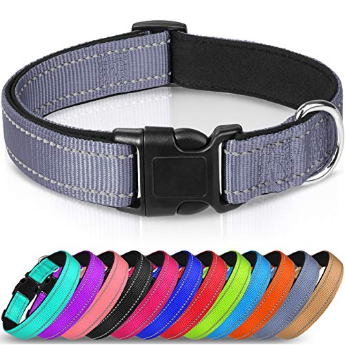 Joytale Collar Perro Reflectante,Nylon Collar Acolchado con Neopreno,Ajustable para Perros Mediano,35-50cm,Gris