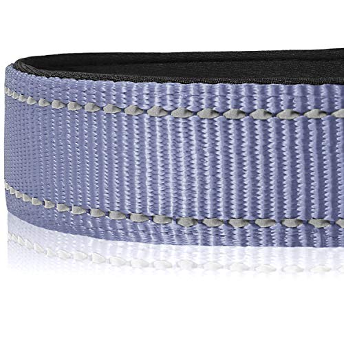 Joytale Collar Perro Reflectante,Nylon Collar Acolchado con Neopreno,Ajustable para Perros Mediano,35-50cm,Gris