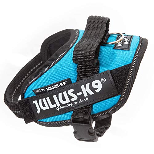 Julius-K9 16IDC - Power Harness