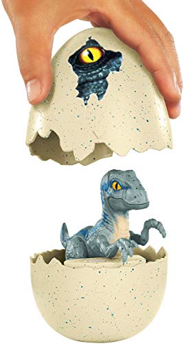 Jurassic World Dino recién nacido Velociraptor Blue, dinosaurio de juguete (Mattel FMB92)