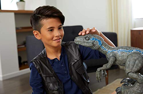 Jurassic World Figura Alpha entrenando al dinosaurio de juguete Blue (Mattel GCK29)