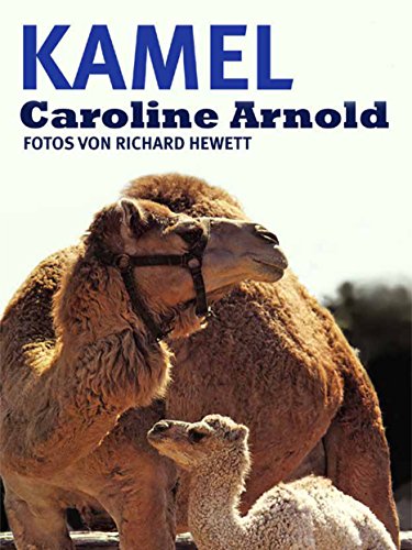 Kamel (German Edition)
