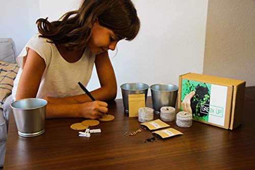 Kit de plantas para huerto urbano - Cultiva tus plantas aromáticas en casa - Semillas (Menta, Albahaca y Romero)