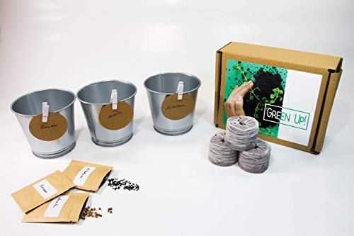 Kit de plantas para huerto urbano - Cultiva tus plantas aromáticas en casa - Semillas (Menta, Albahaca y Romero)
