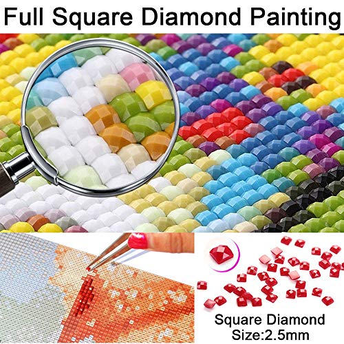 Kit De Punto De Cruz Diy Bordado De Diamantes Allure Love Full Square/Round Diamond Painting Mosaic Home Decor 16"X20"