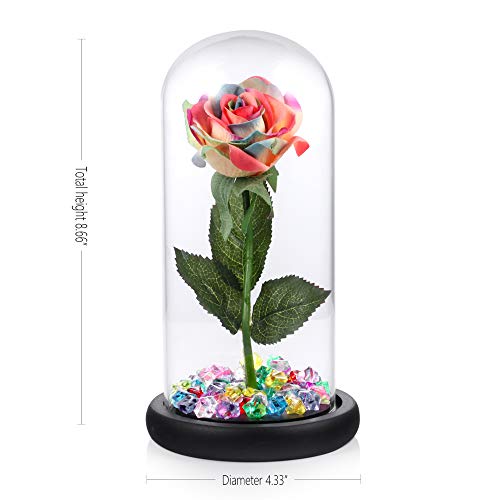 Kit de rosas "La Bella y la Bestia", rosa de seda colorida y luz led en una cúpula de vidrio en la base de madera para la decoración del hogar Fiesta de cumpleaños Fiesta de cumpleaños Día de la madre