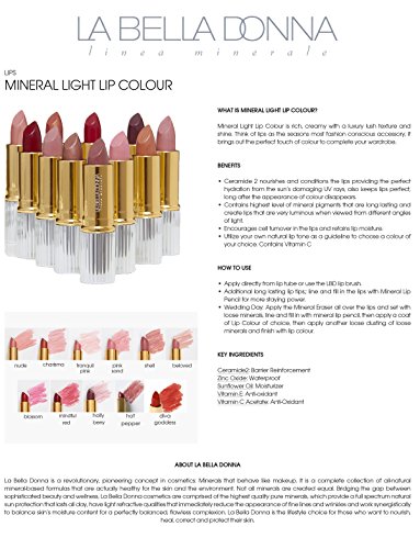 La Bella Donna Luz de Minerales de labios color | Todo lápiz labial mineral natural puro | Larga duración del color | Fórmula hidratante | 100% vegano | Hipoalergénico y Cruelty Free 3.4G Amado