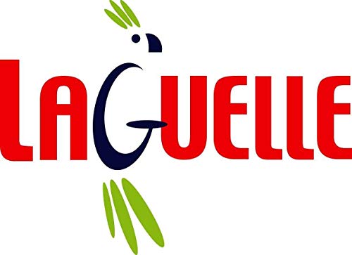 Laguelle – 40 pinzas antideslizantes – Fabricación francesa – Colores variados: verde, azul, naranja y rosa