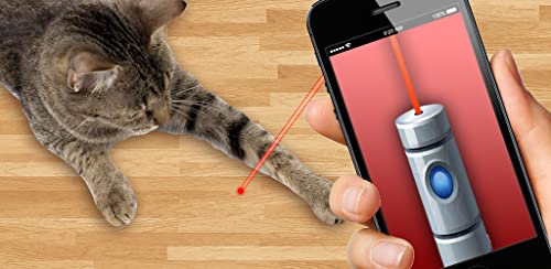Laser For Cats: New Prank