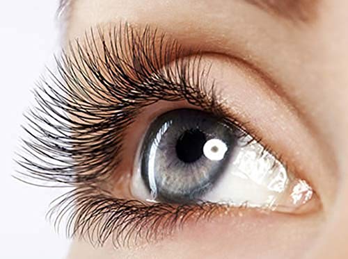 LashFood Eyelash Enhancer 3 ml Phyto Medic Eyelash, suero, acondicionador de cejas, suero de cejas, suero de crecimiento de pestañas de alta eficacia por mucho tiempo