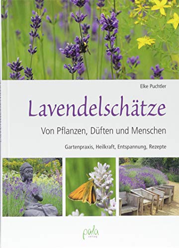 Lavendelschätze: Von Pflanzen, Düften und Menschen