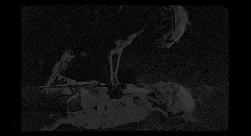 Les Garçons sauvages [Francia] [Blu-ray]