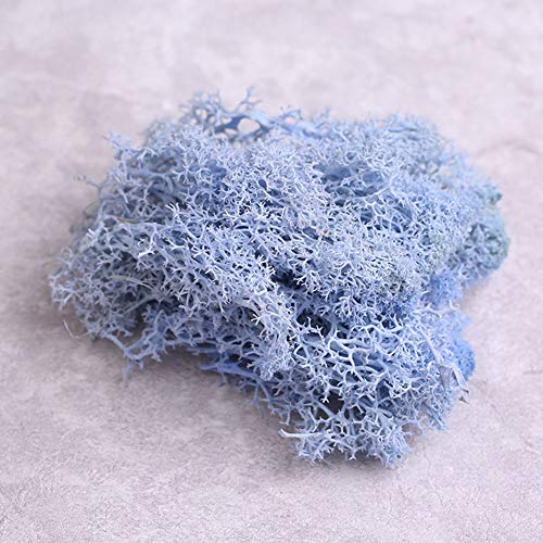 little finger Musgo de Flores Artificiales, Planta Artificial conservada de Reno, Musgo de Reno, Bricolaje, Manualidades, decoración del hogar, Blanco, 1#