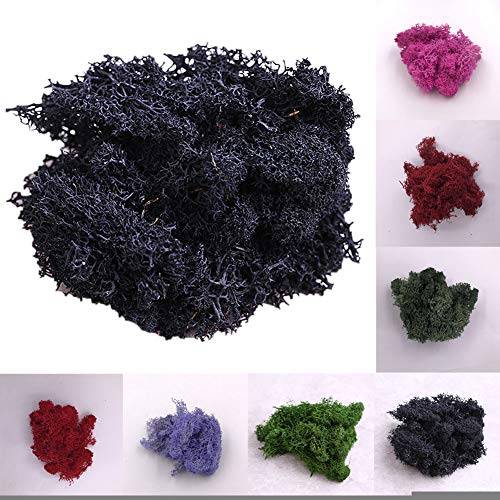 little finger Musgo de Flores Artificiales, Planta Artificial conservada de Reno, Musgo de Reno, Bricolaje, Manualidades, decoración del hogar, Blanco, 1#