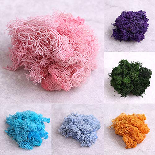 little finger Musgo de Flores Artificiales, Planta Artificial conservada de Reno, Musgo de Reno, Bricolaje, Manualidades, decoración del hogar, Blanco, 1#