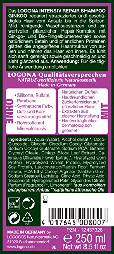 Logona - Cosmética natural intensiva Repair Champú Ginkgo para repara daños del cabello para un fácil peinado, con extractos de plantas orgánicas y betaina, 250 ml