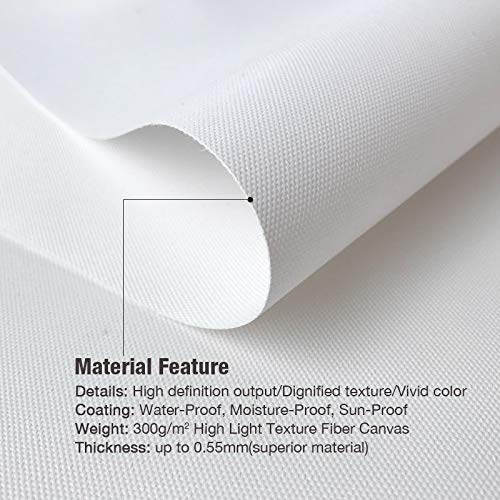 Lona 1 Pieza Furia De La Noche Y La Furia De Luz Cómo Entrenar A Tu Dragón 3 Del Cartel De Película HD Cuadro De La Pared De La Lona De La Pintura Por La Pintura Que Cuelga Decoración De La Pared